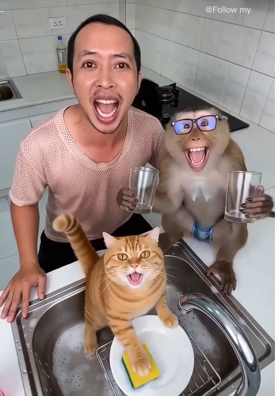 @M&egrave;o 247