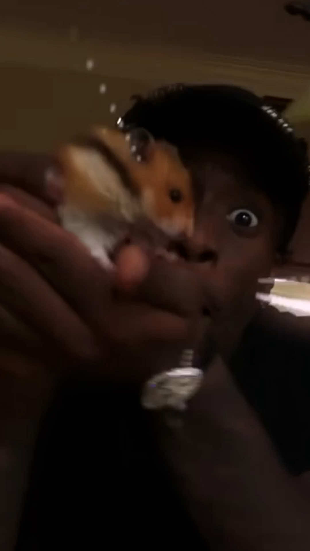 @alexdiianereacts