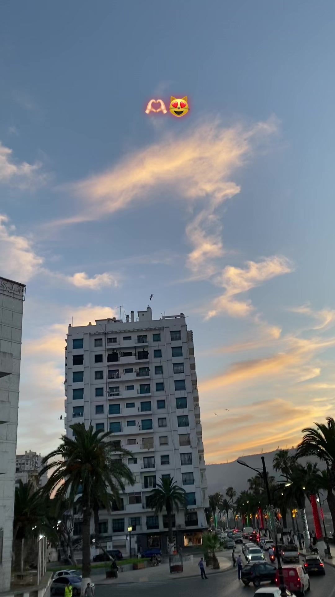 @D&Oslash;&oslash; L&atilde; R&atilde; 🖤
