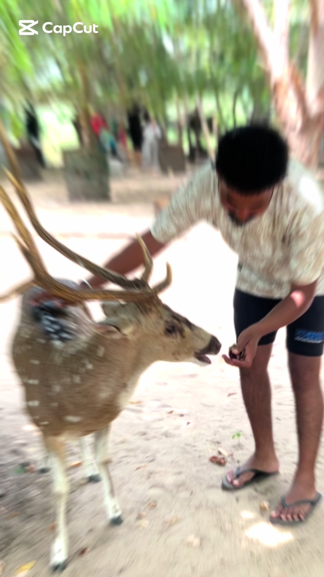 @hiru niki