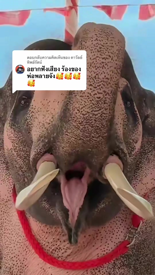 @anndk645
