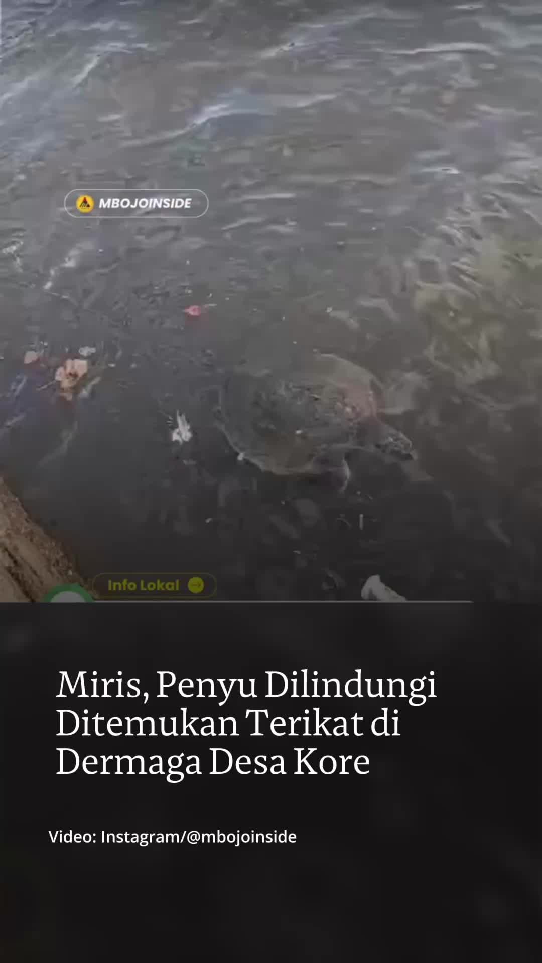 @mongabayindonesia