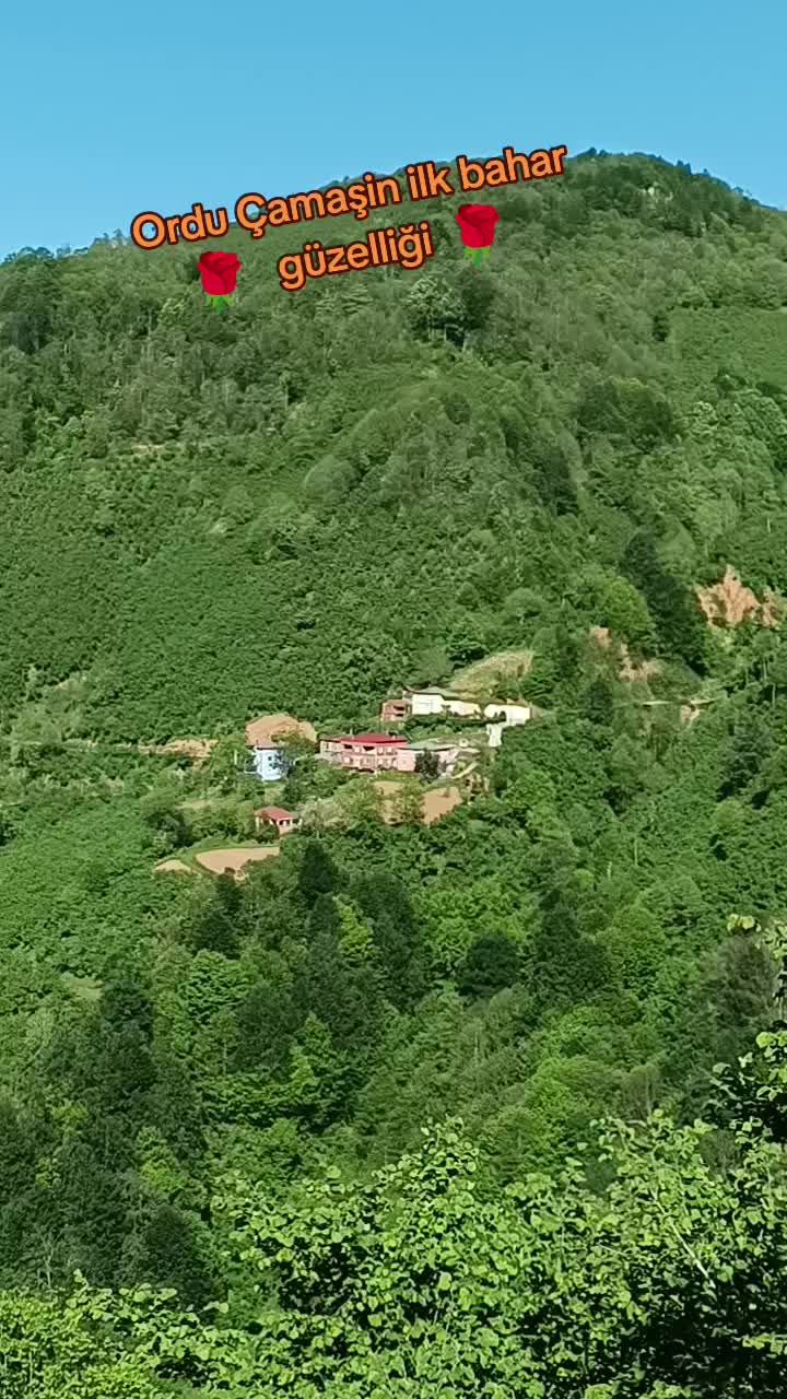 @Turan &Ouml;zkan