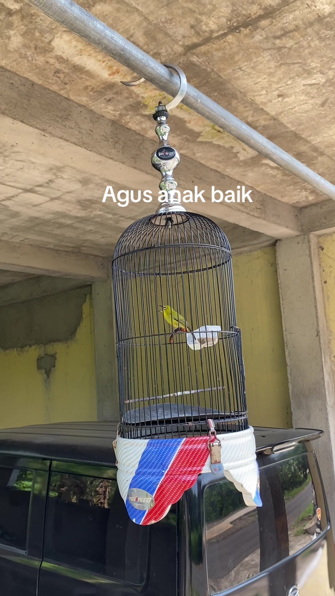 @DK Ekhsannudin