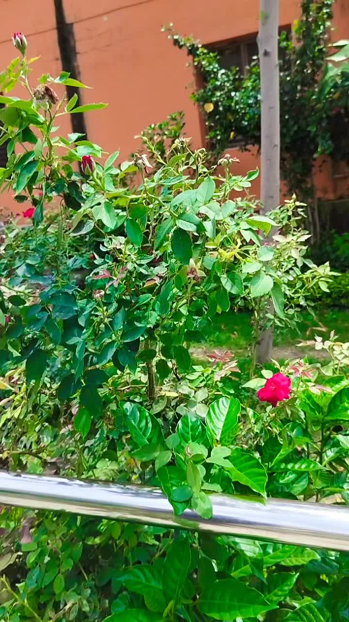 @Ranjit. Yadav. jee