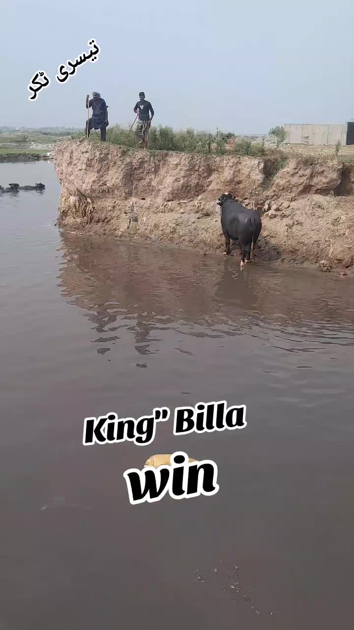 @Honey singh('gujjar')