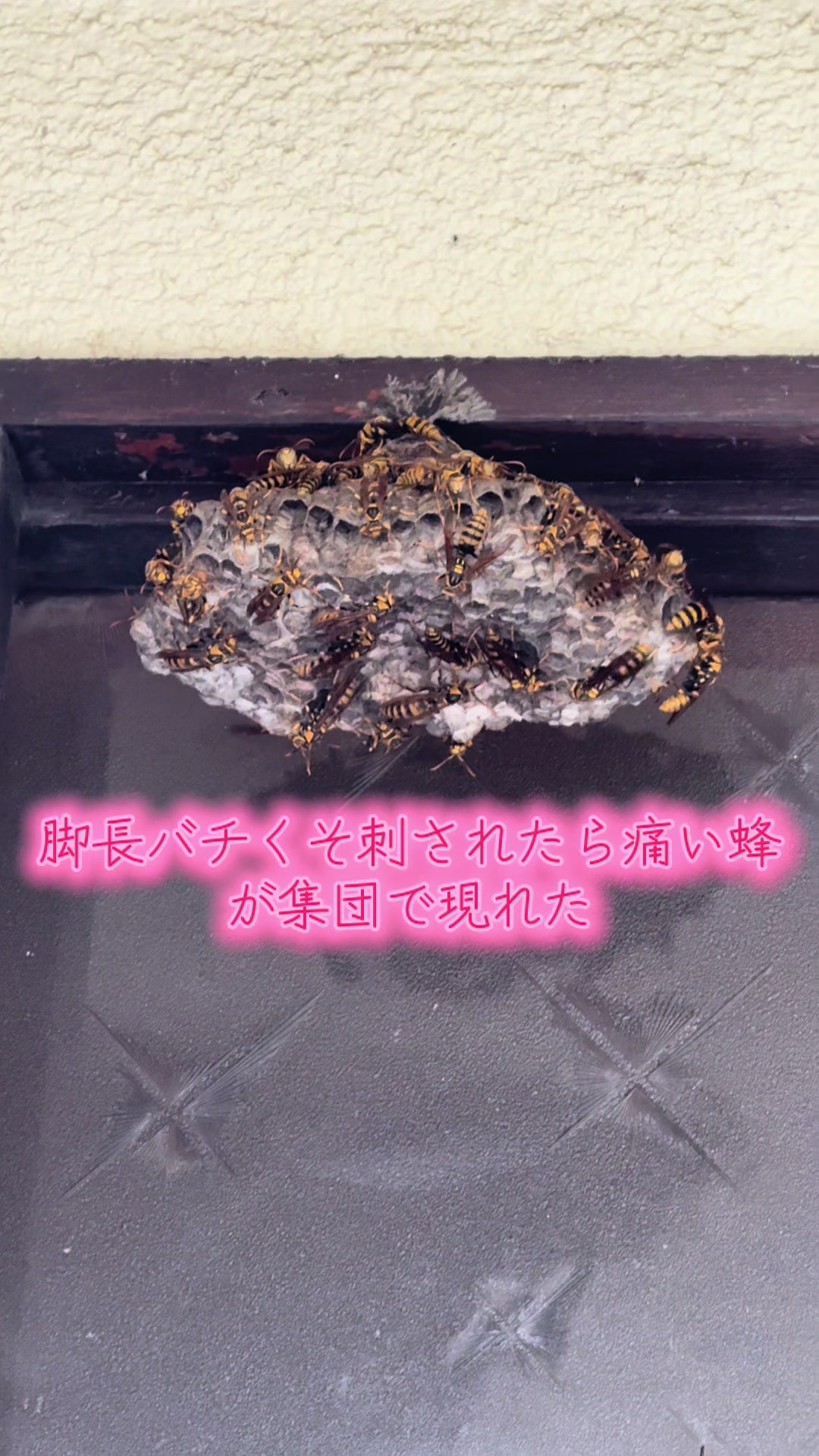 @Yoshi.H