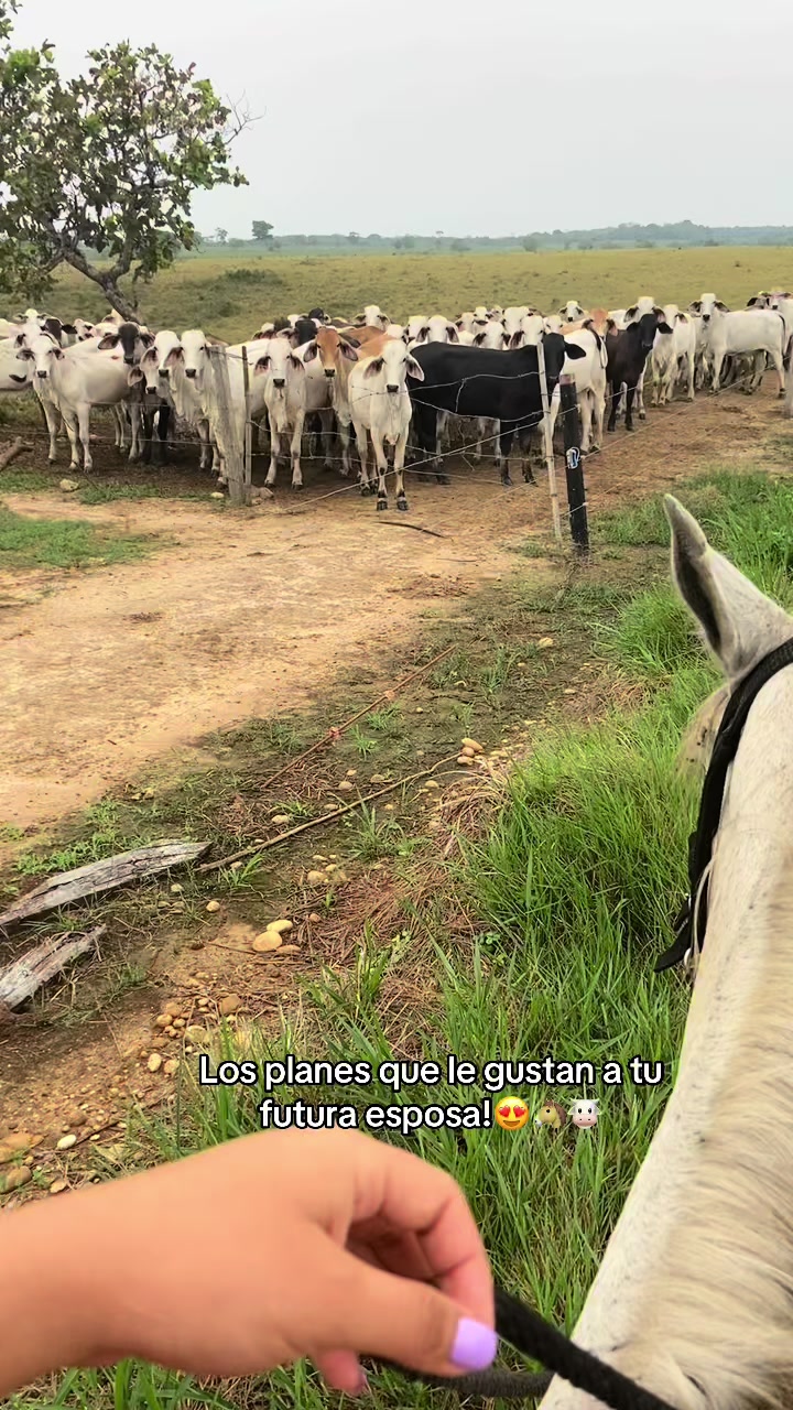 @Aleja🐴