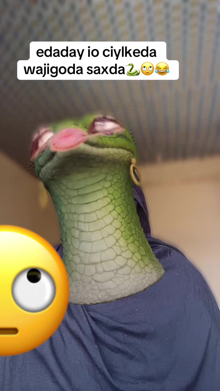 @folxumo Farxsan🐈&zwj;⬛🥀😭