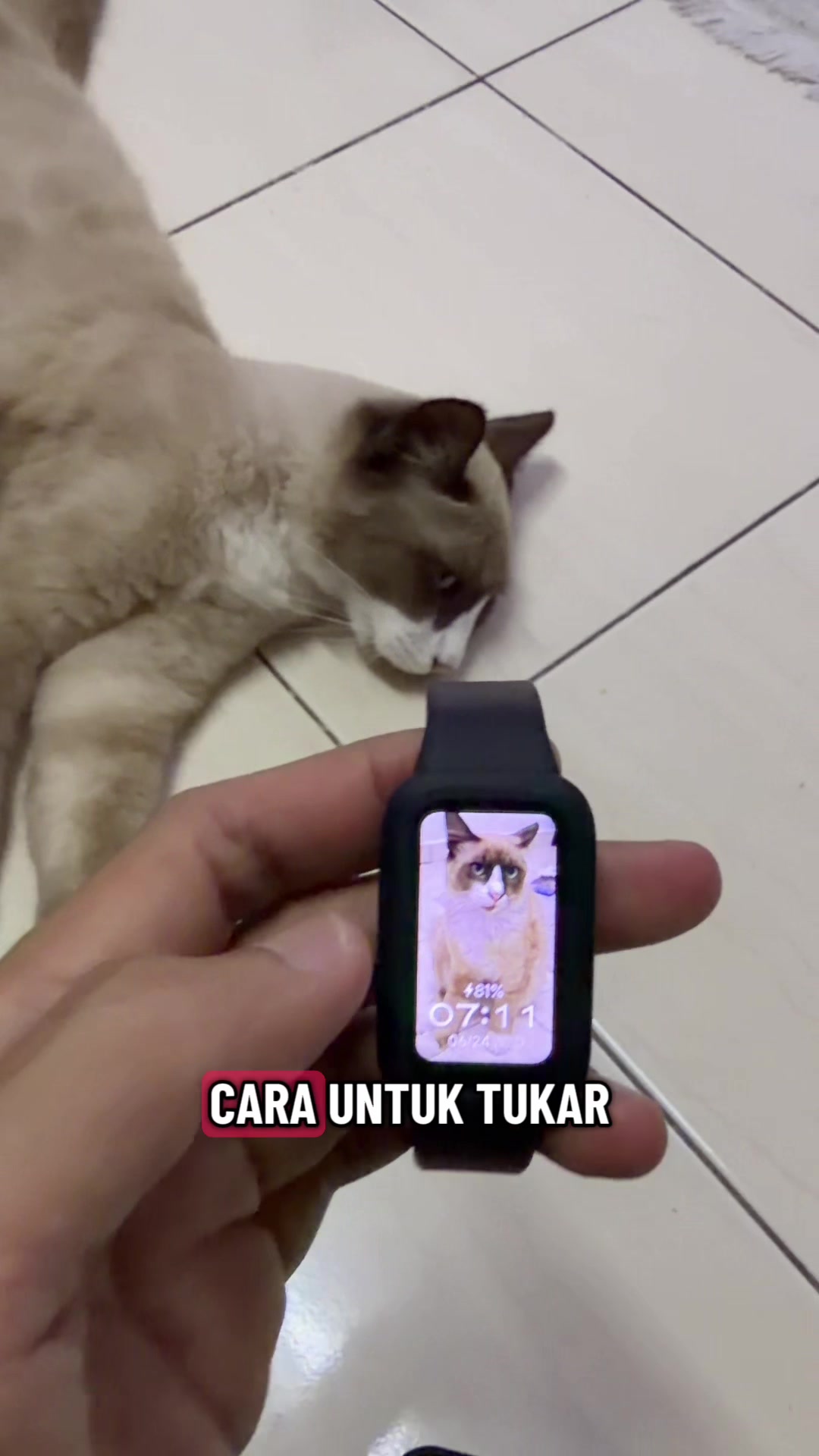@Zikeri