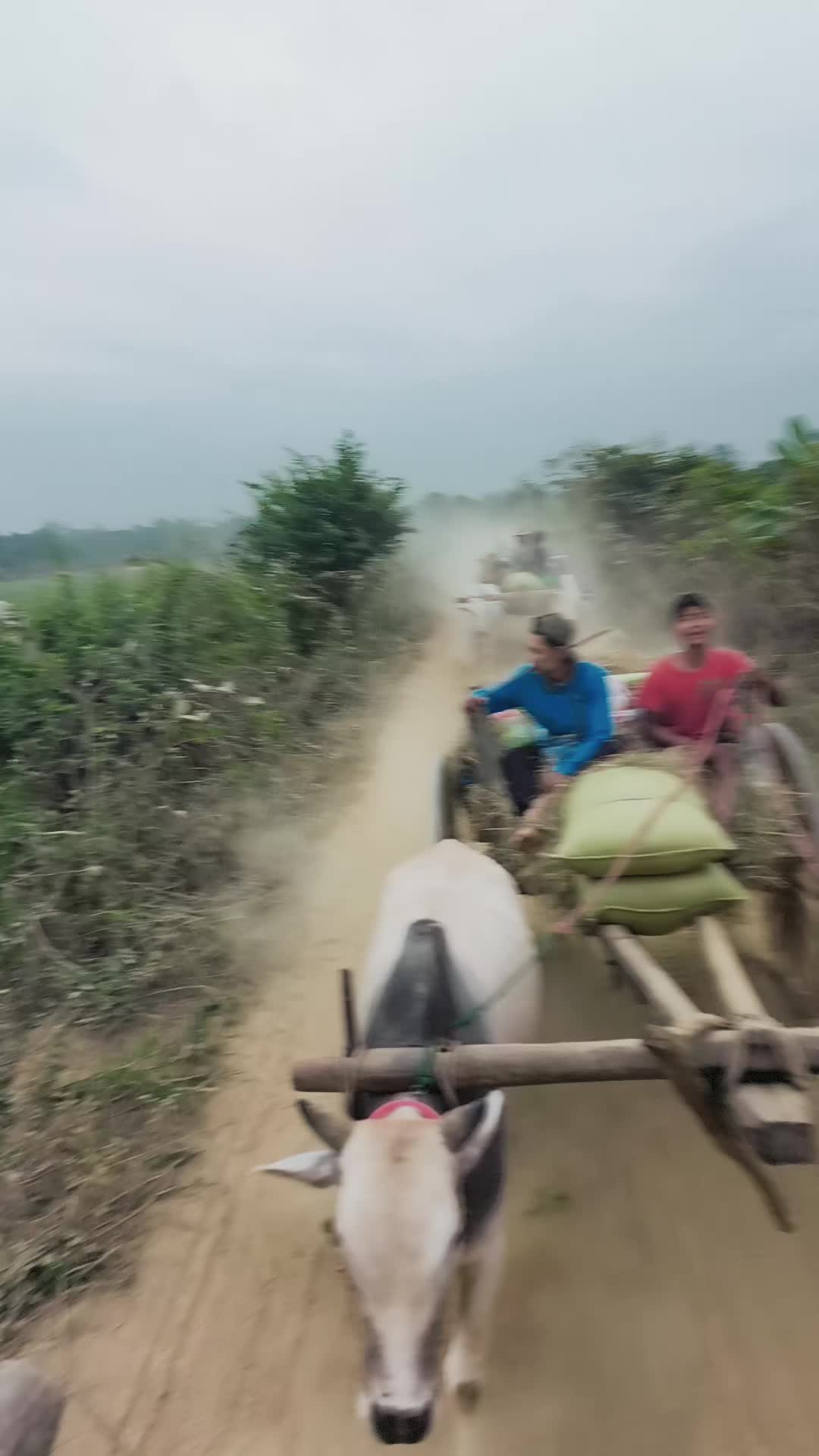 @CHAN KO KO