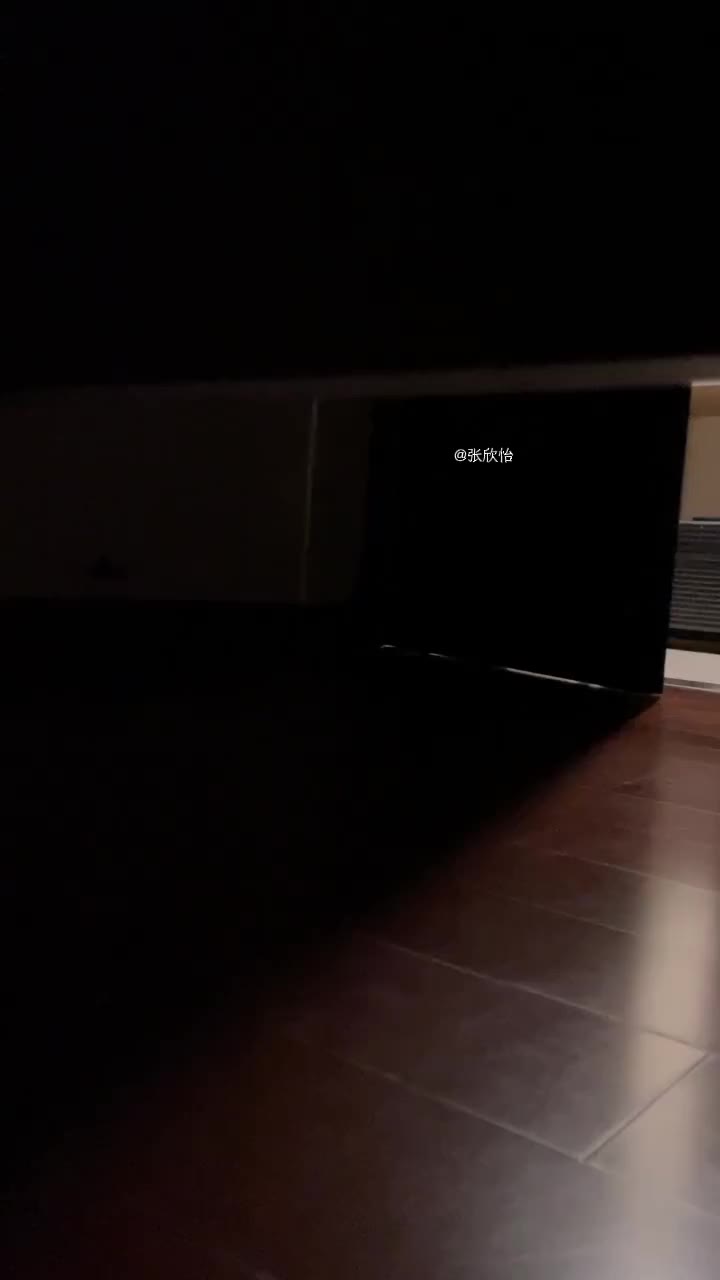 @Zhang Xinyi张欣怡🍞