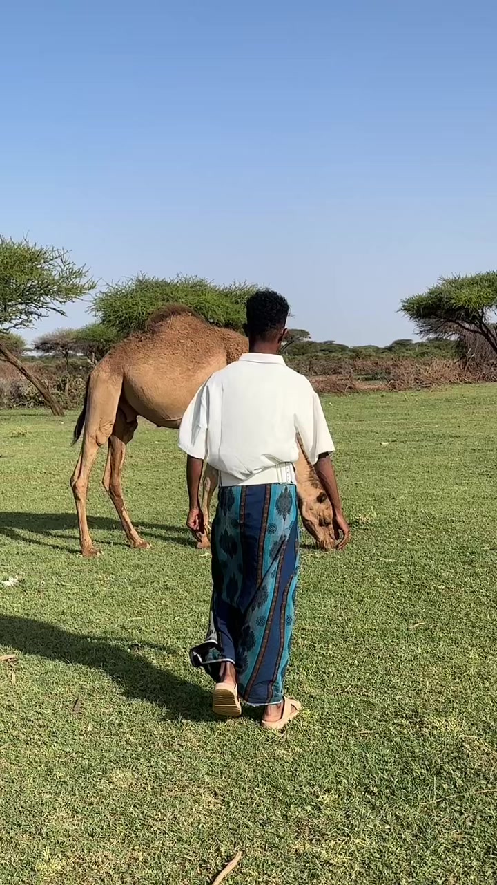 @Najiib naajo Official 🥏