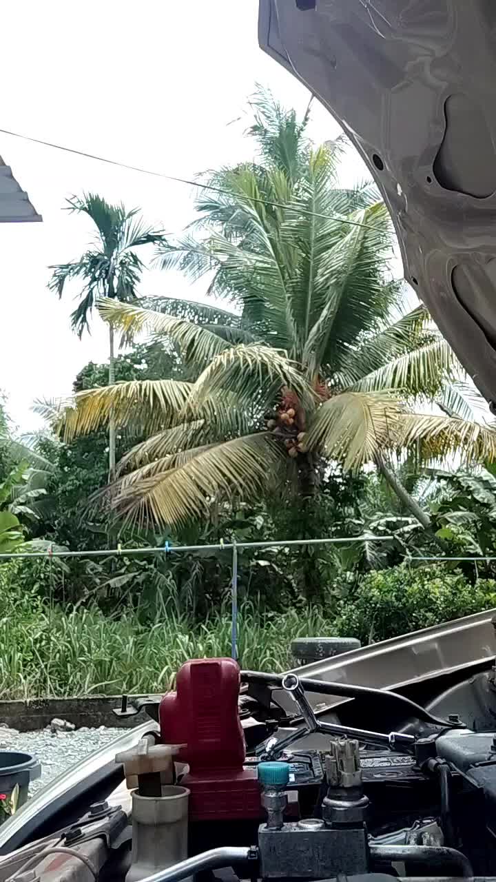 @🤓budakrabun🤓
