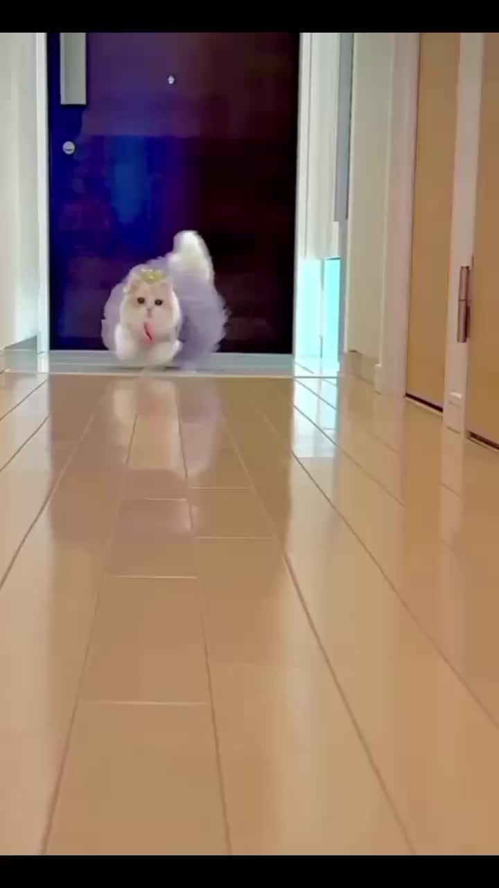 @𝑆𝑛𝑜𝑤~ ❤️✨