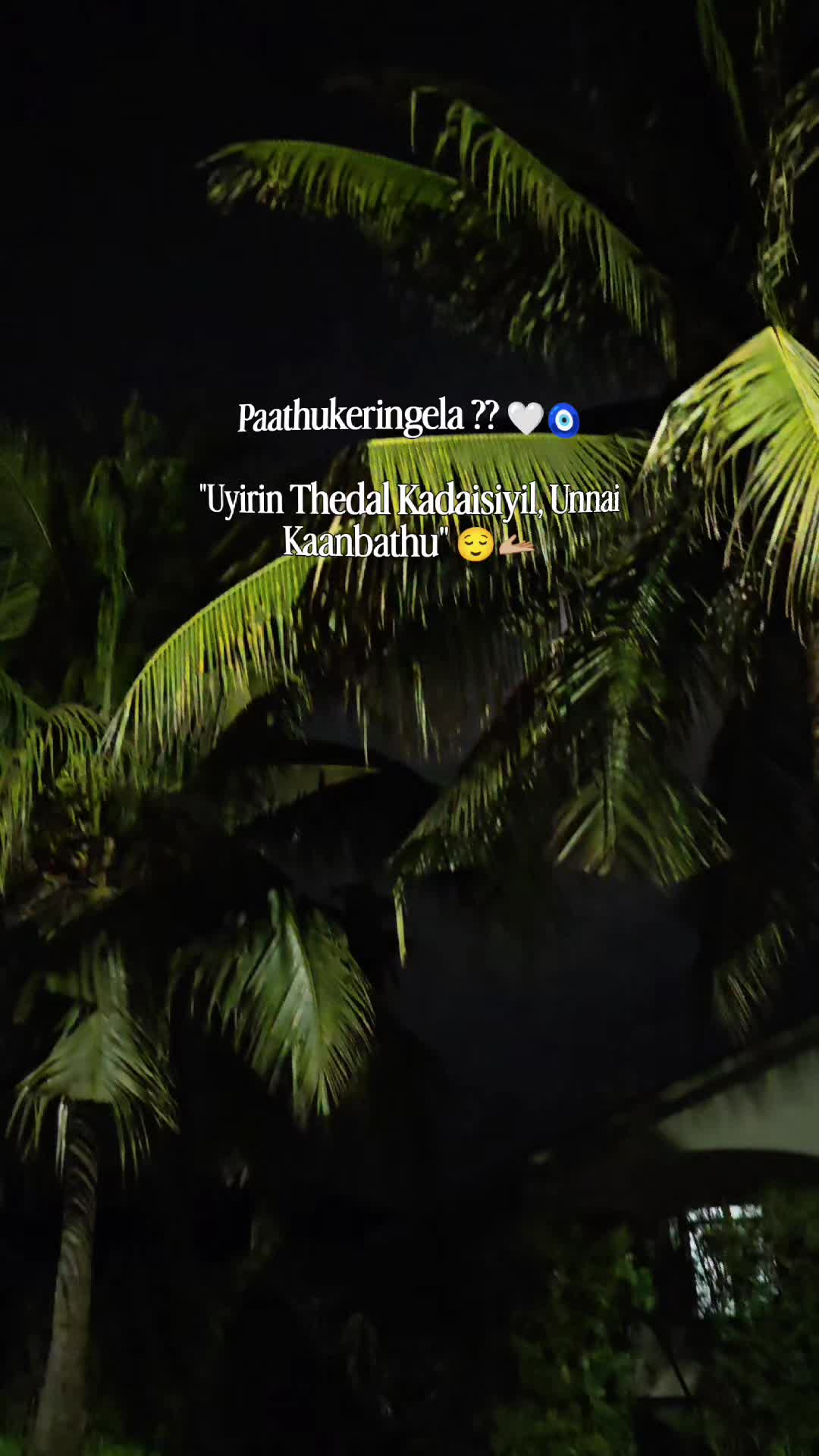 @๐จ๐๐๐๐๐๐ ๐ค๐
