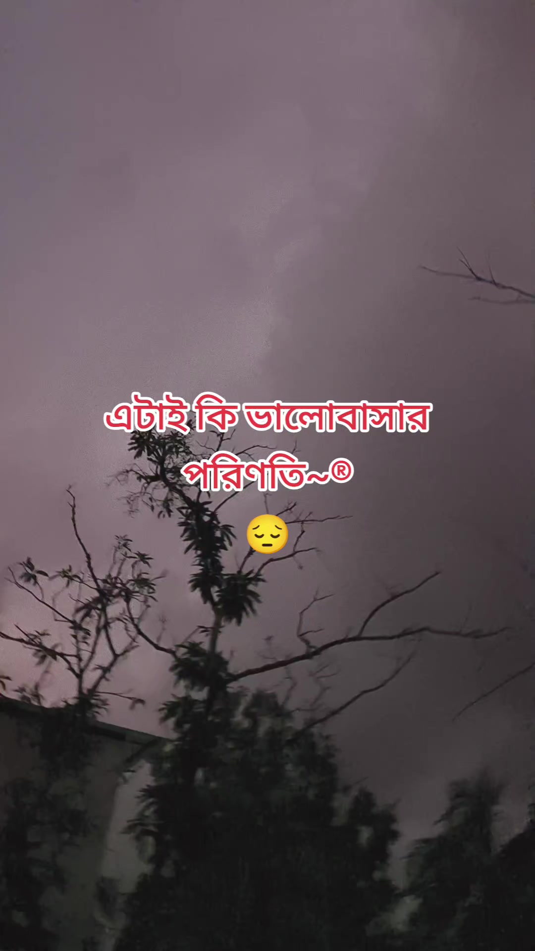 @মিষ্টি কাপোল