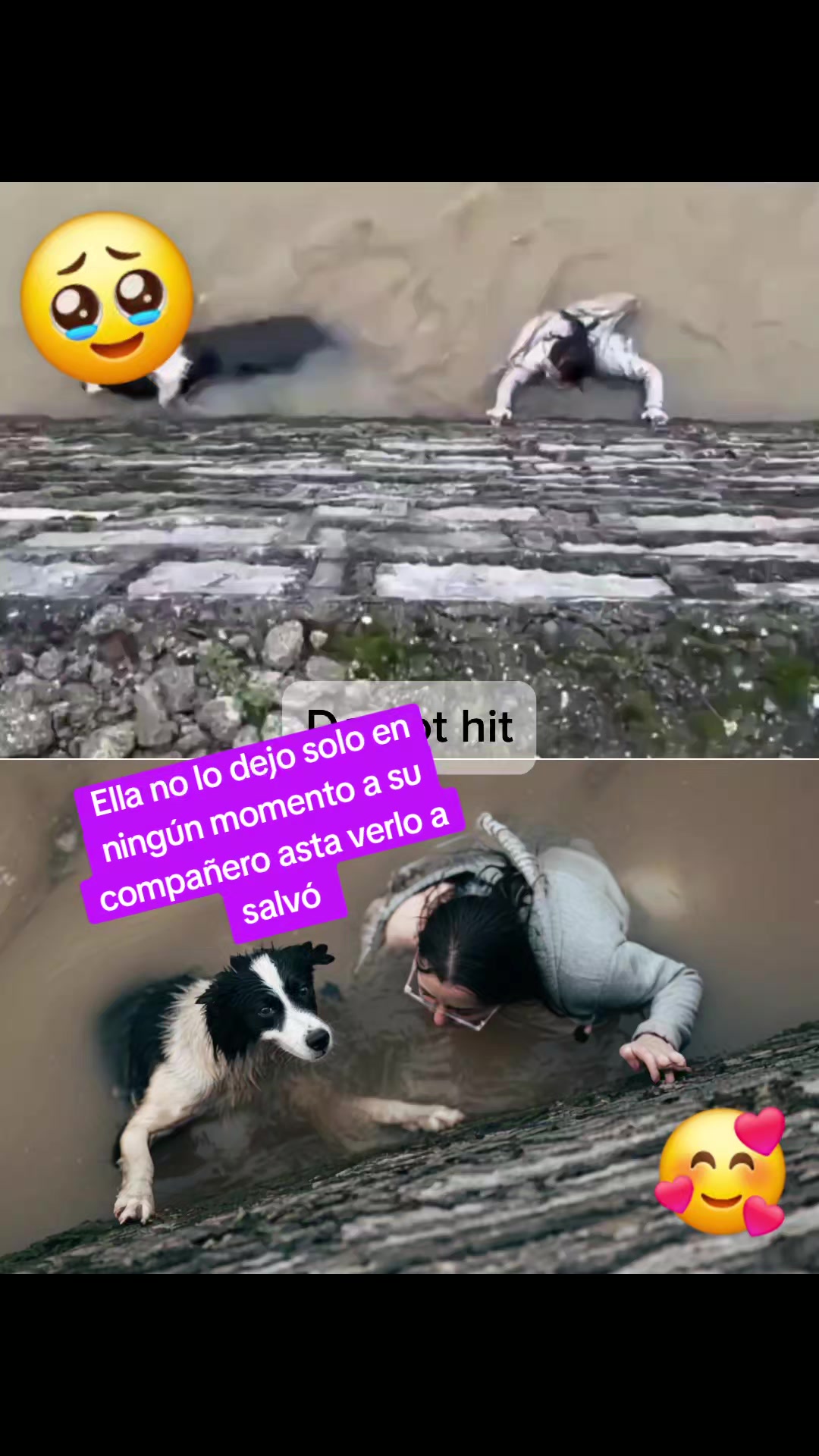 @tv visión latina 🇨🇱🇧🇴