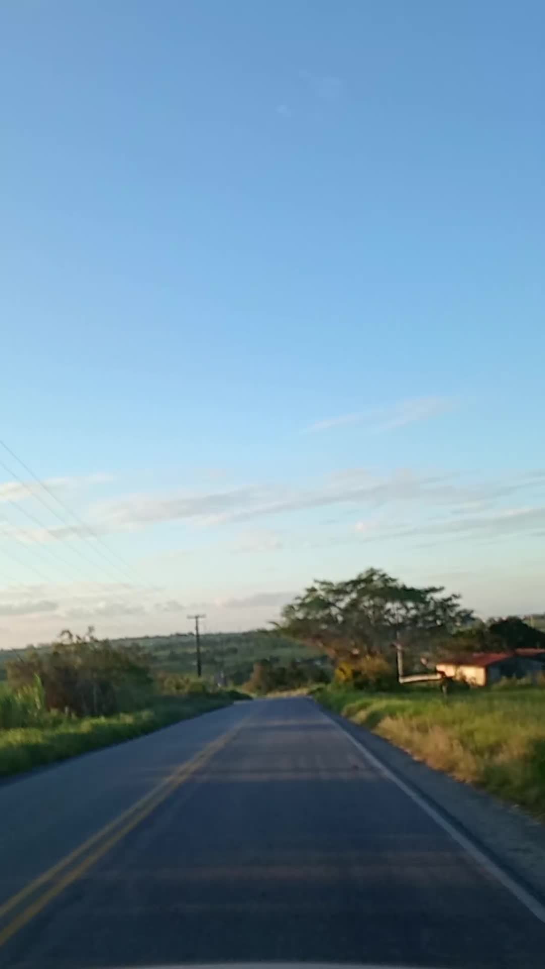 @Maria Fernandes