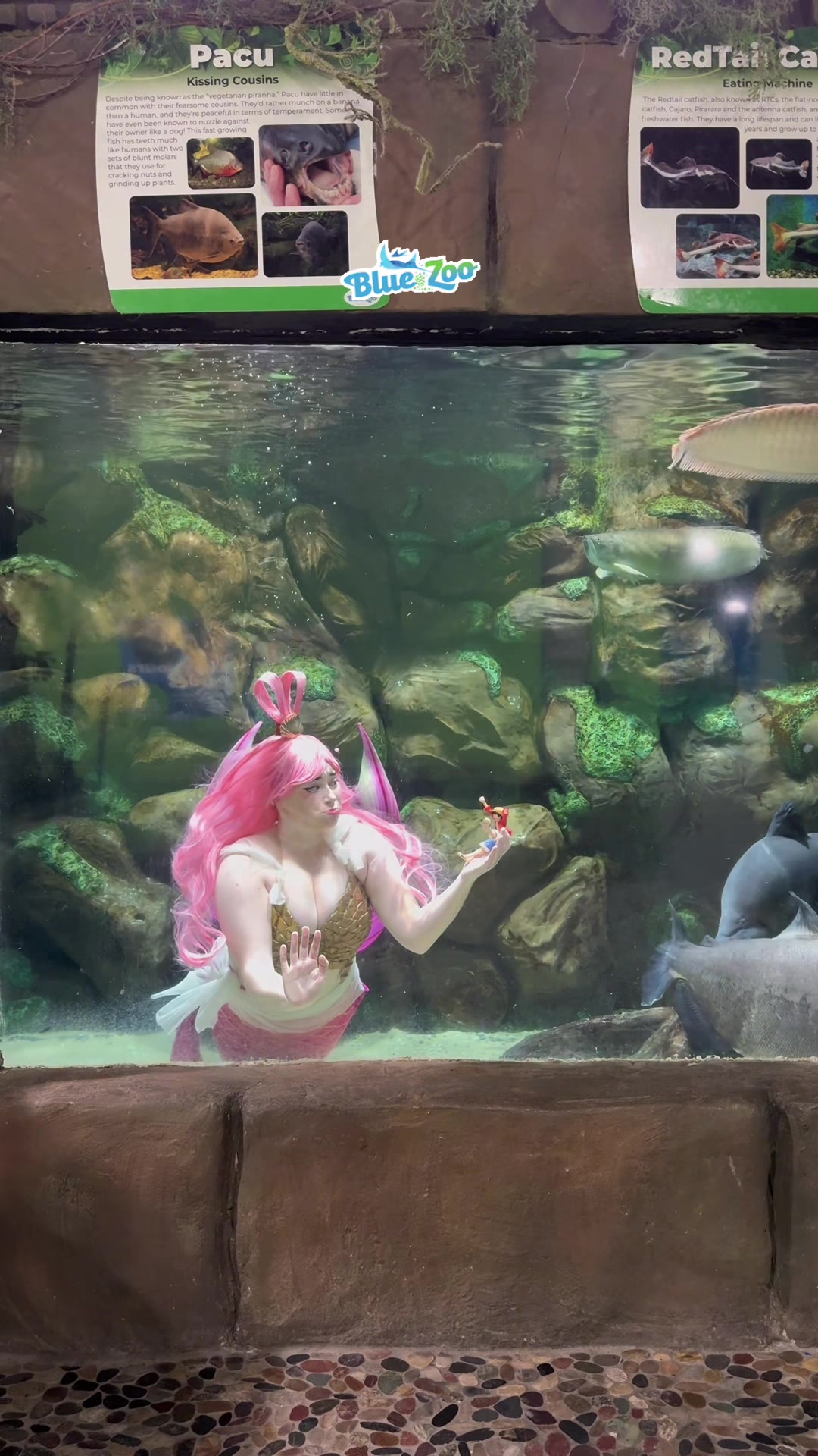 @Rose the Mermaid