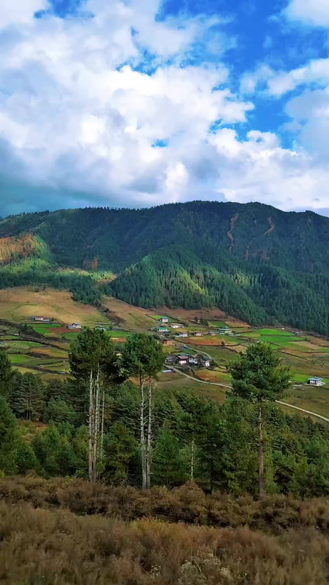 @Fast_Furious__@🇧🇹
