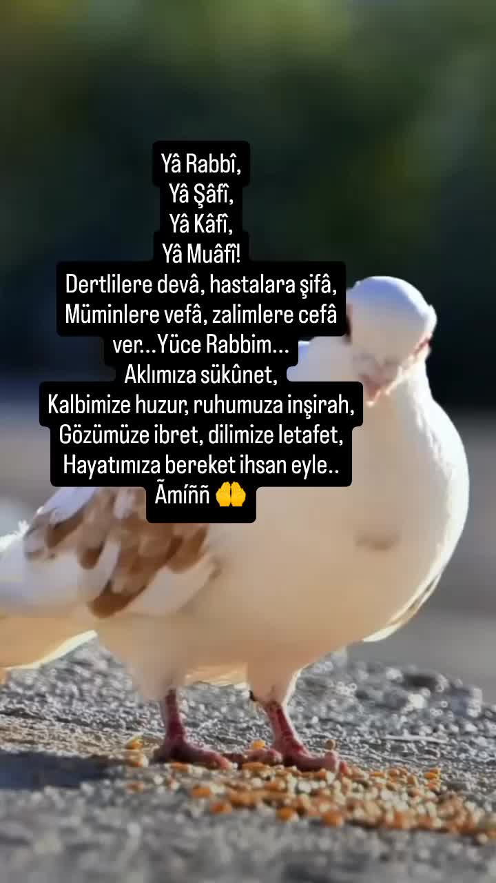@h k
