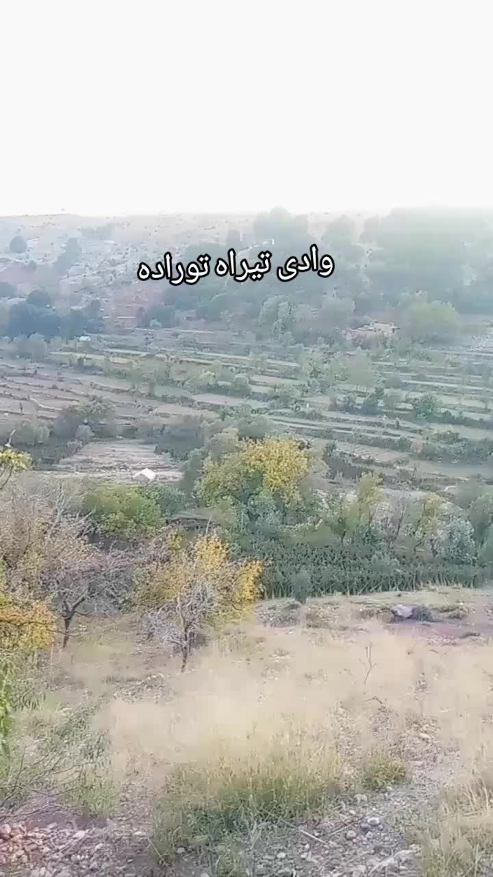 @🌹TikTok 🌹 star ⭐✨ Afridi