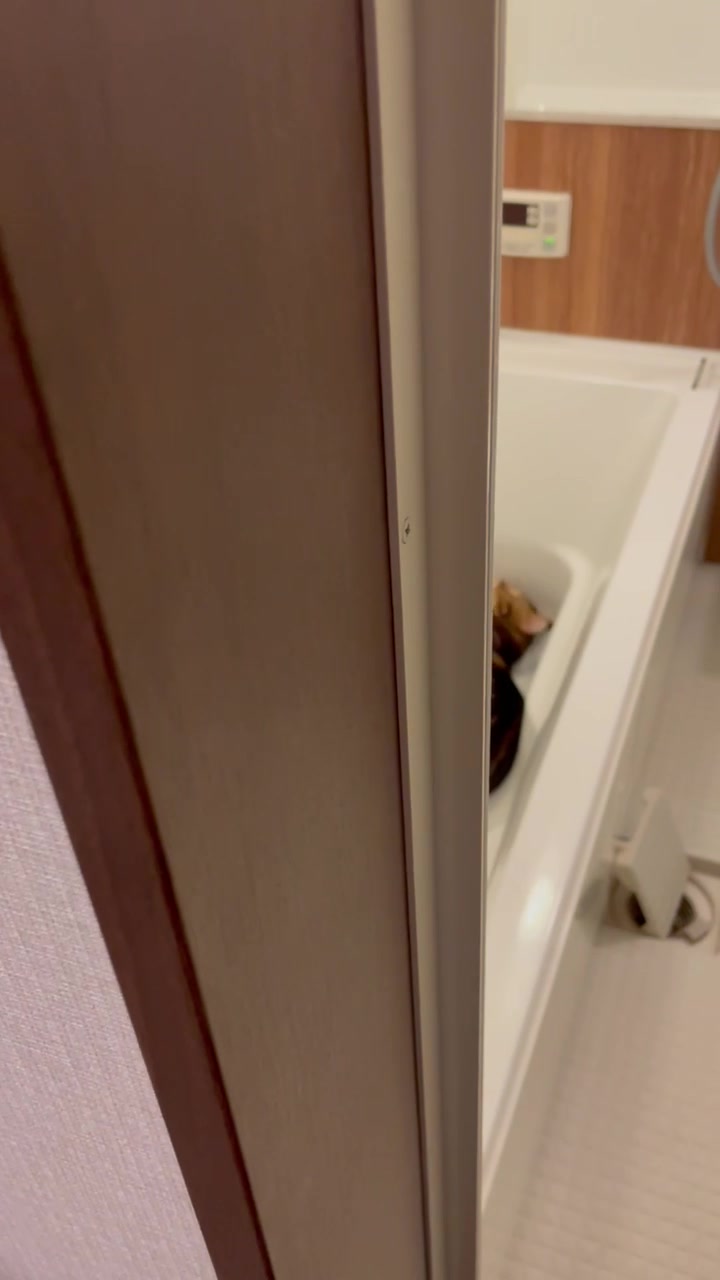 @chuochi_fuufu