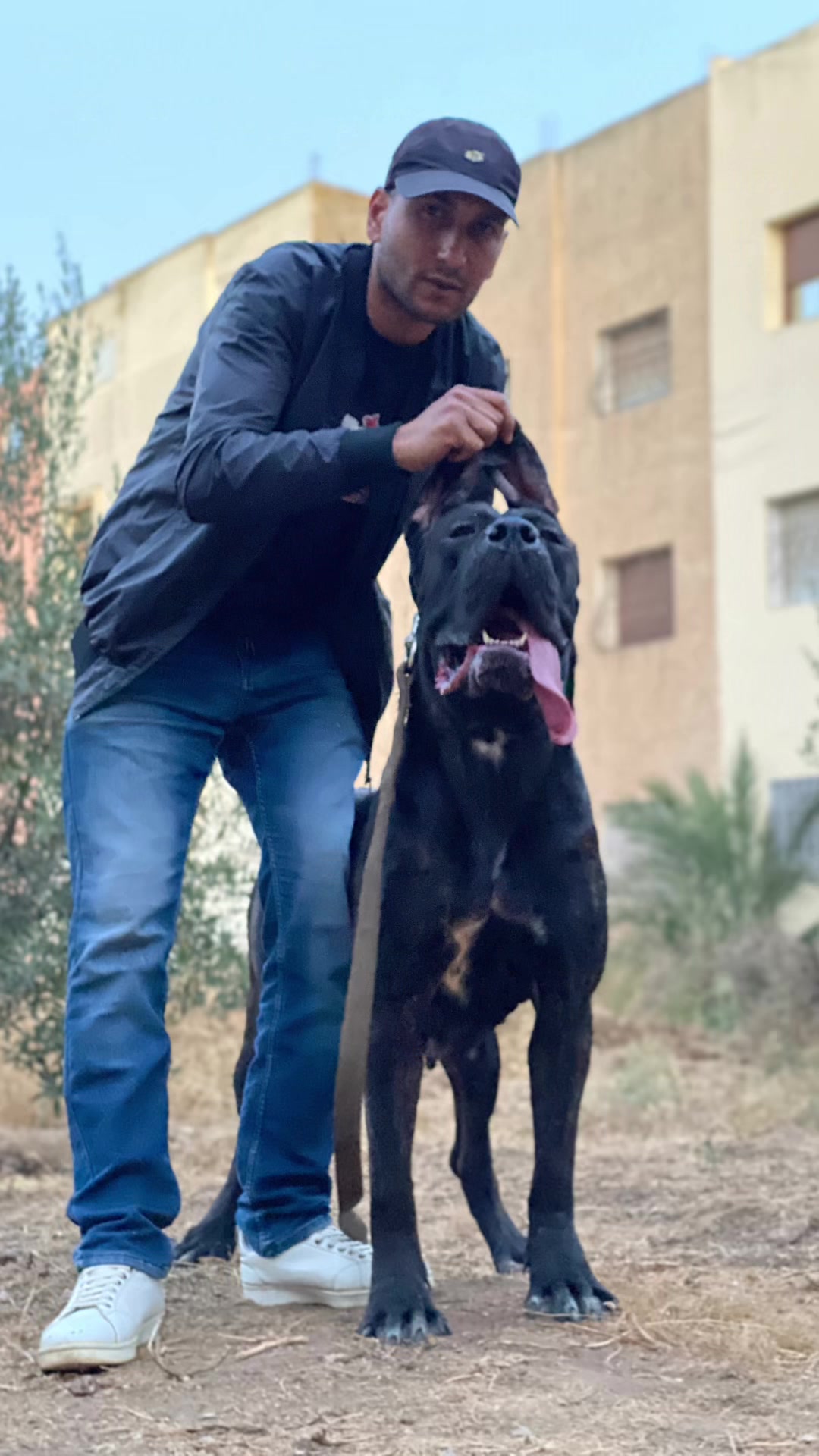 @canicorsoftmalinois