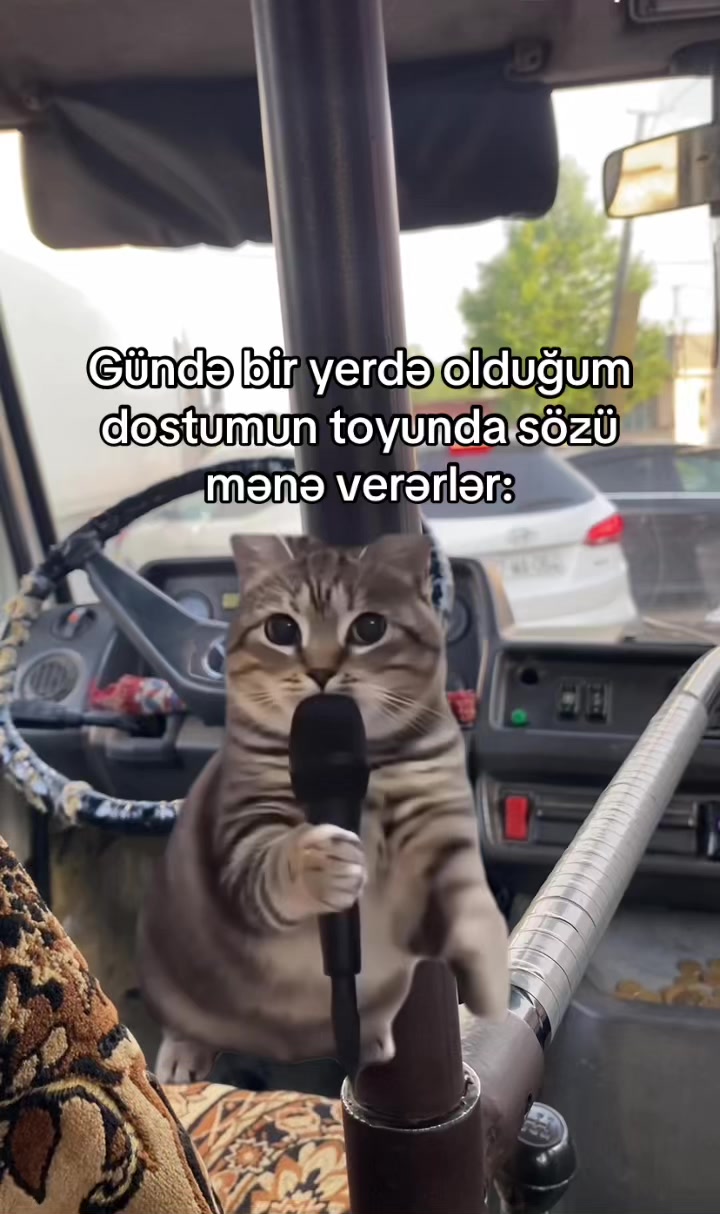 @𝑯𝒖̈𝒔𝒖̈𝒖̈ 