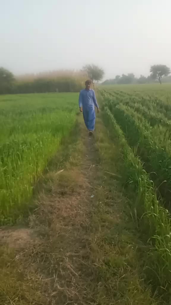 @mojahid rind
