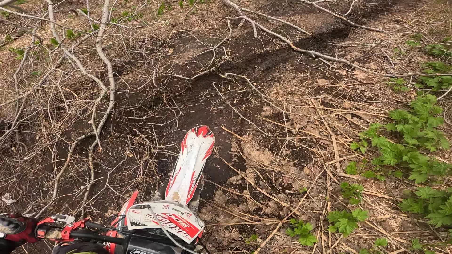 @Бодя🤖👾😈