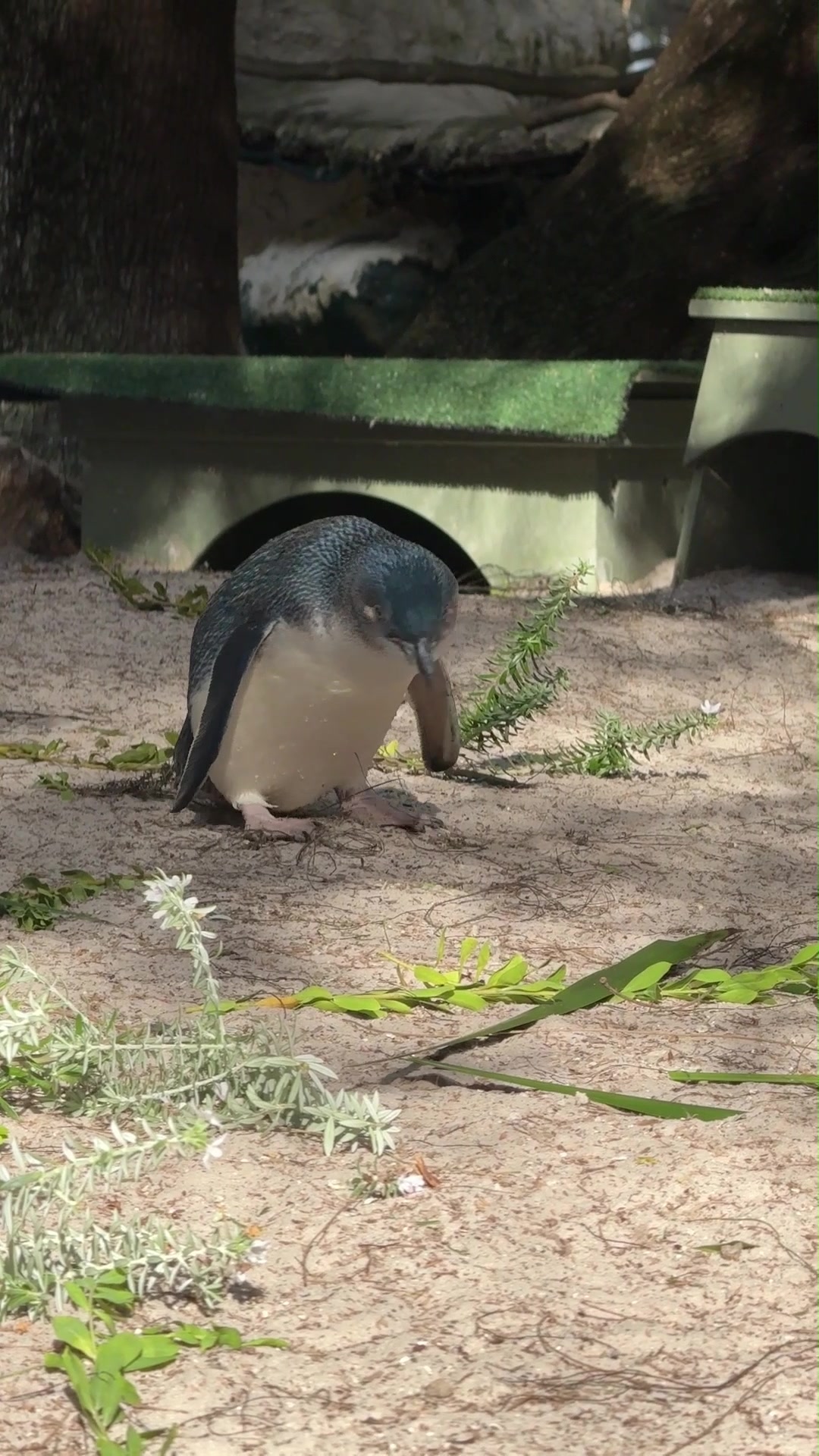 @Perth Zoo