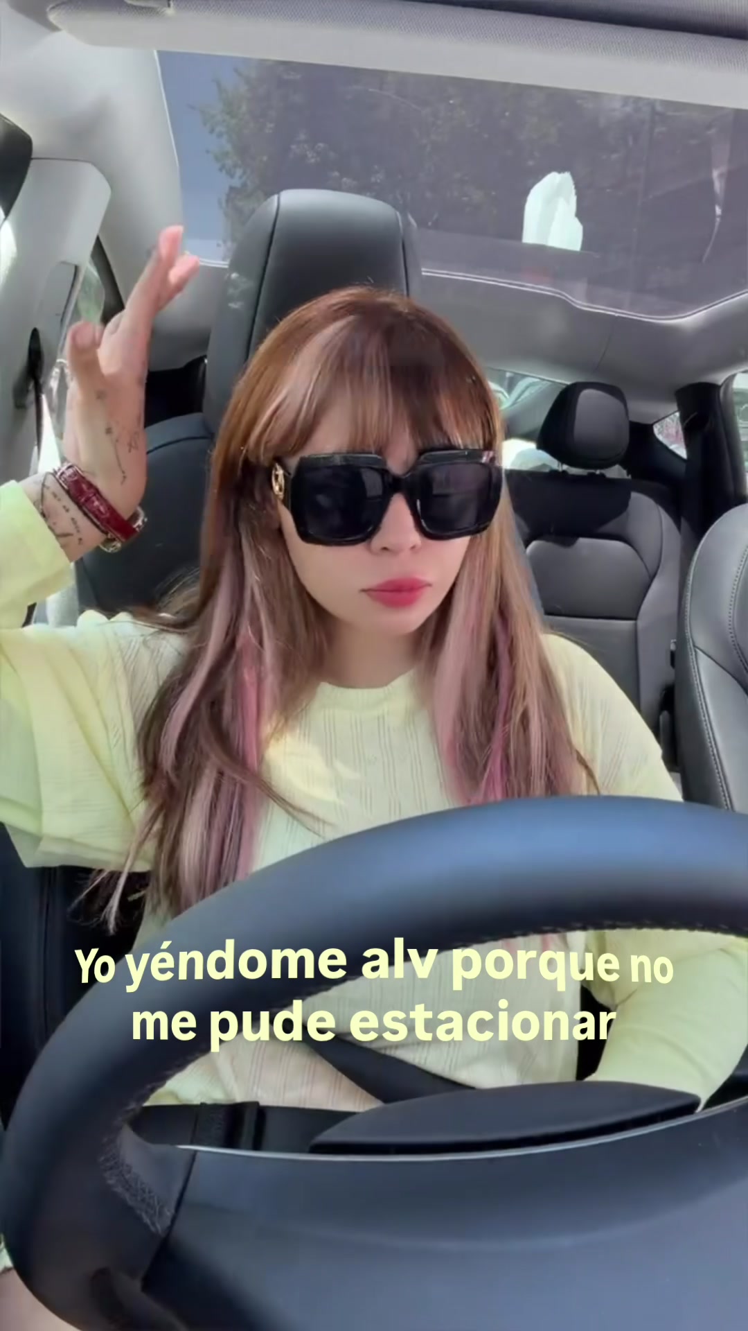 @DanyanCat