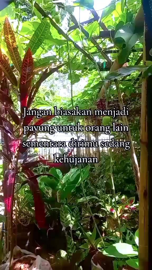 @Aku_Aries