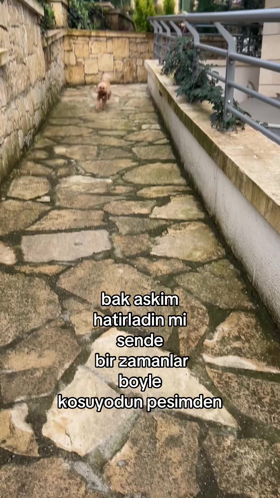 @ceysu