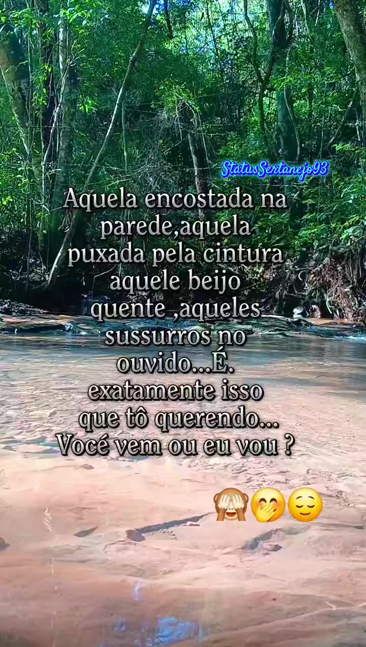 @StatusSertanejo93