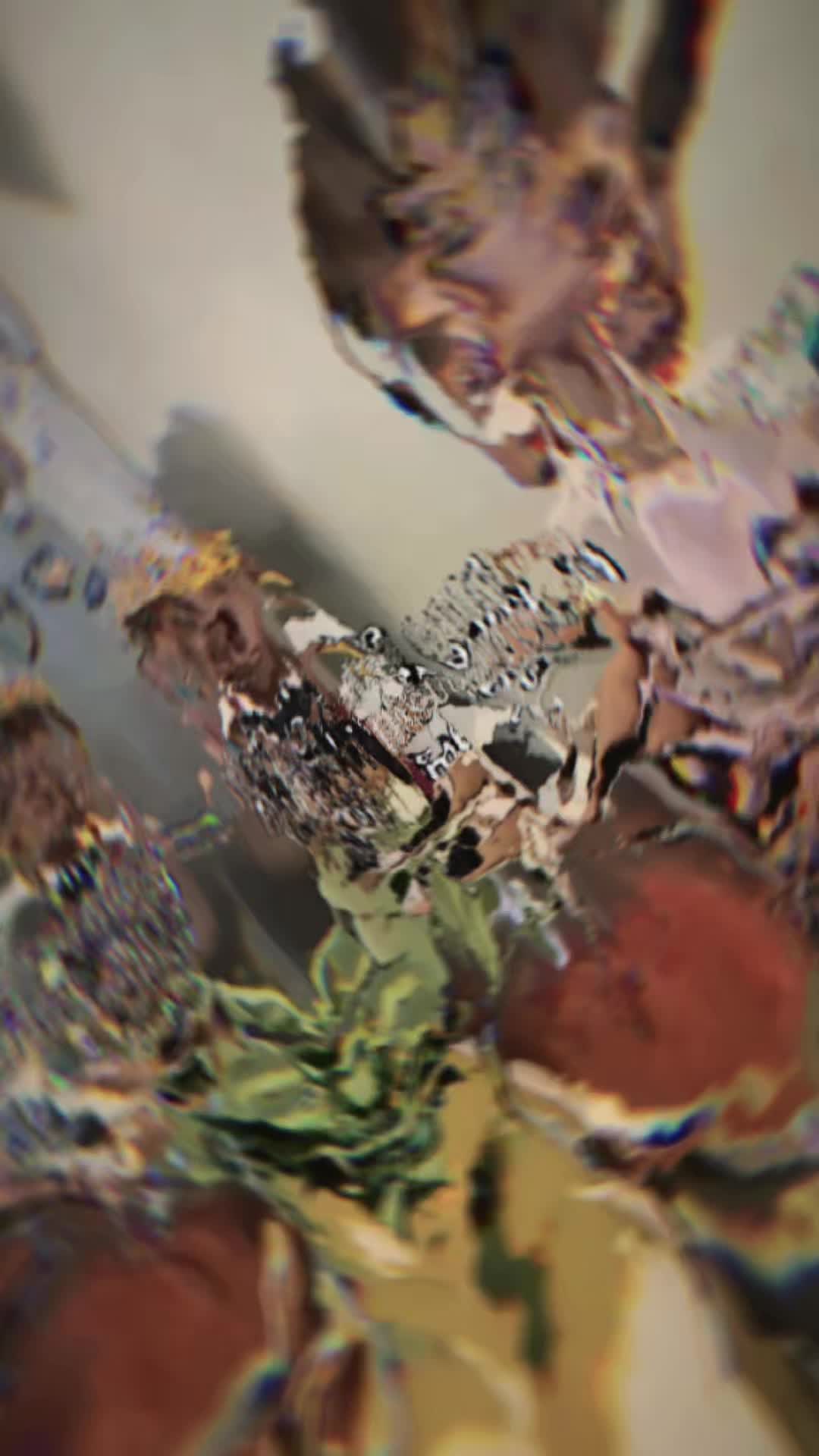 @H/A🧬