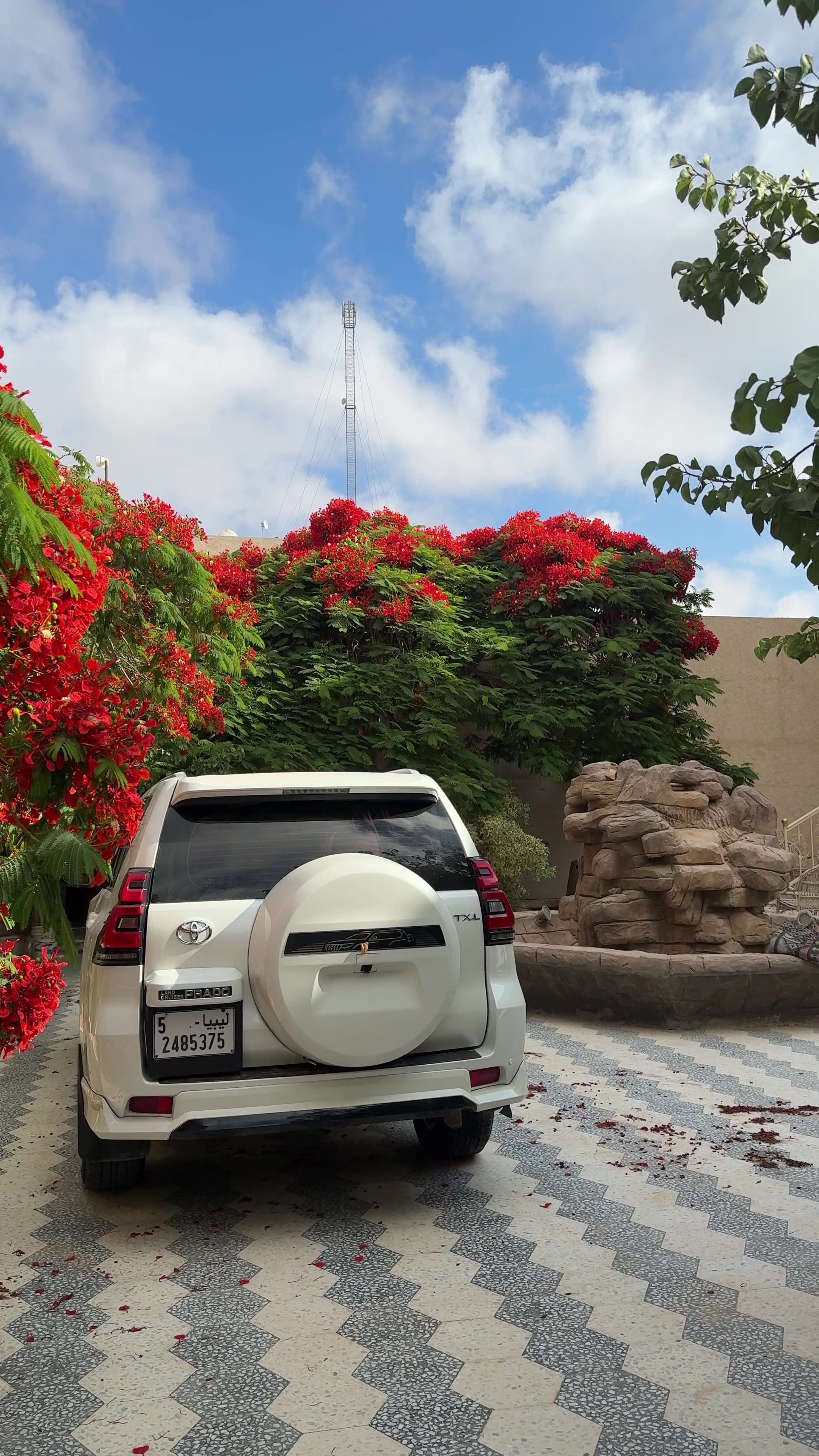 @عبدالرحمن ❤️&zwj;🔥