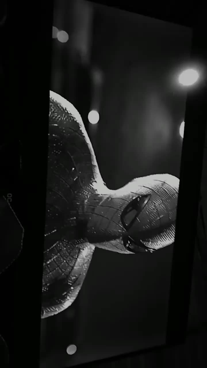 @dariah🕷️