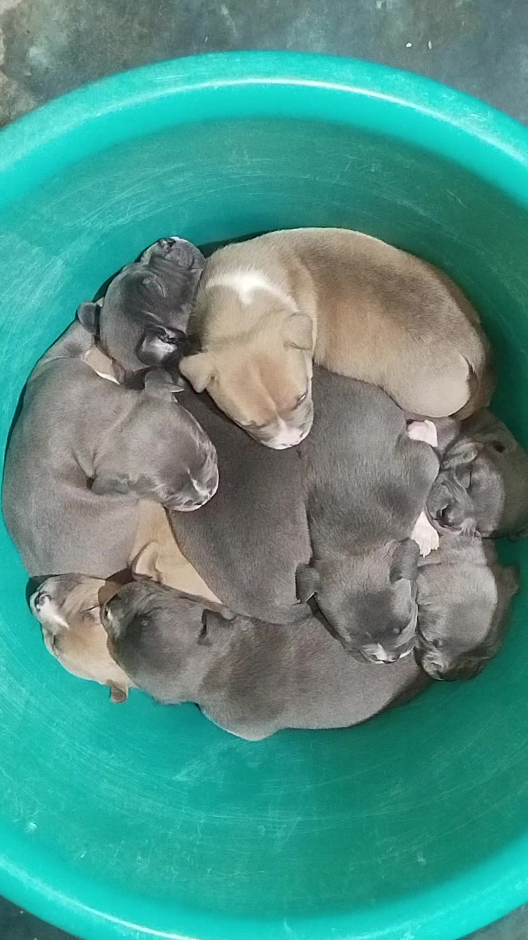 @mia_bulls❤️