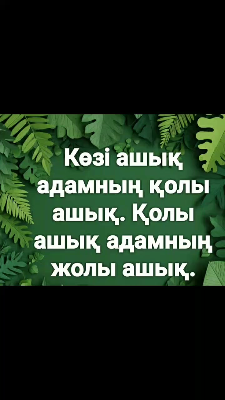 @Тойгул