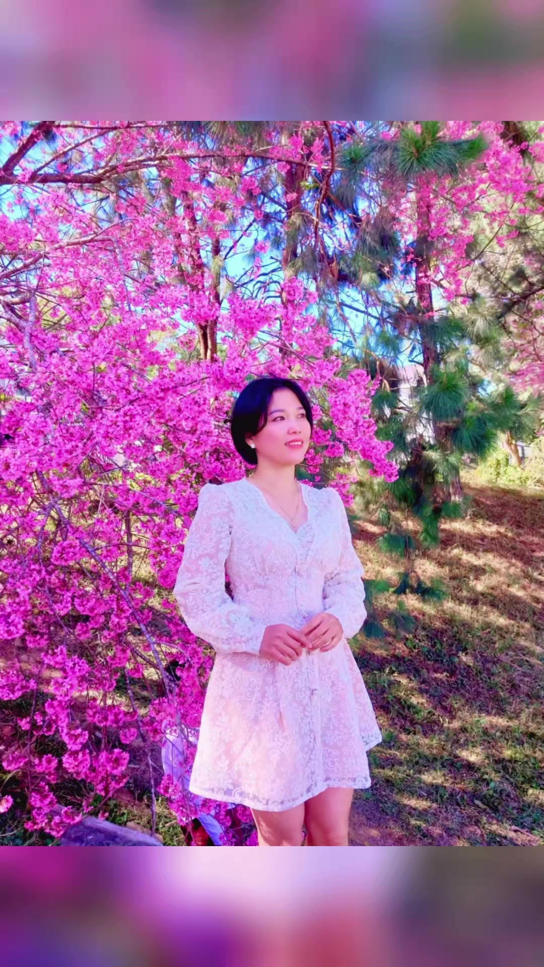 @G&Agrave; R&Aacute;N  Đ&Agrave; LẠT