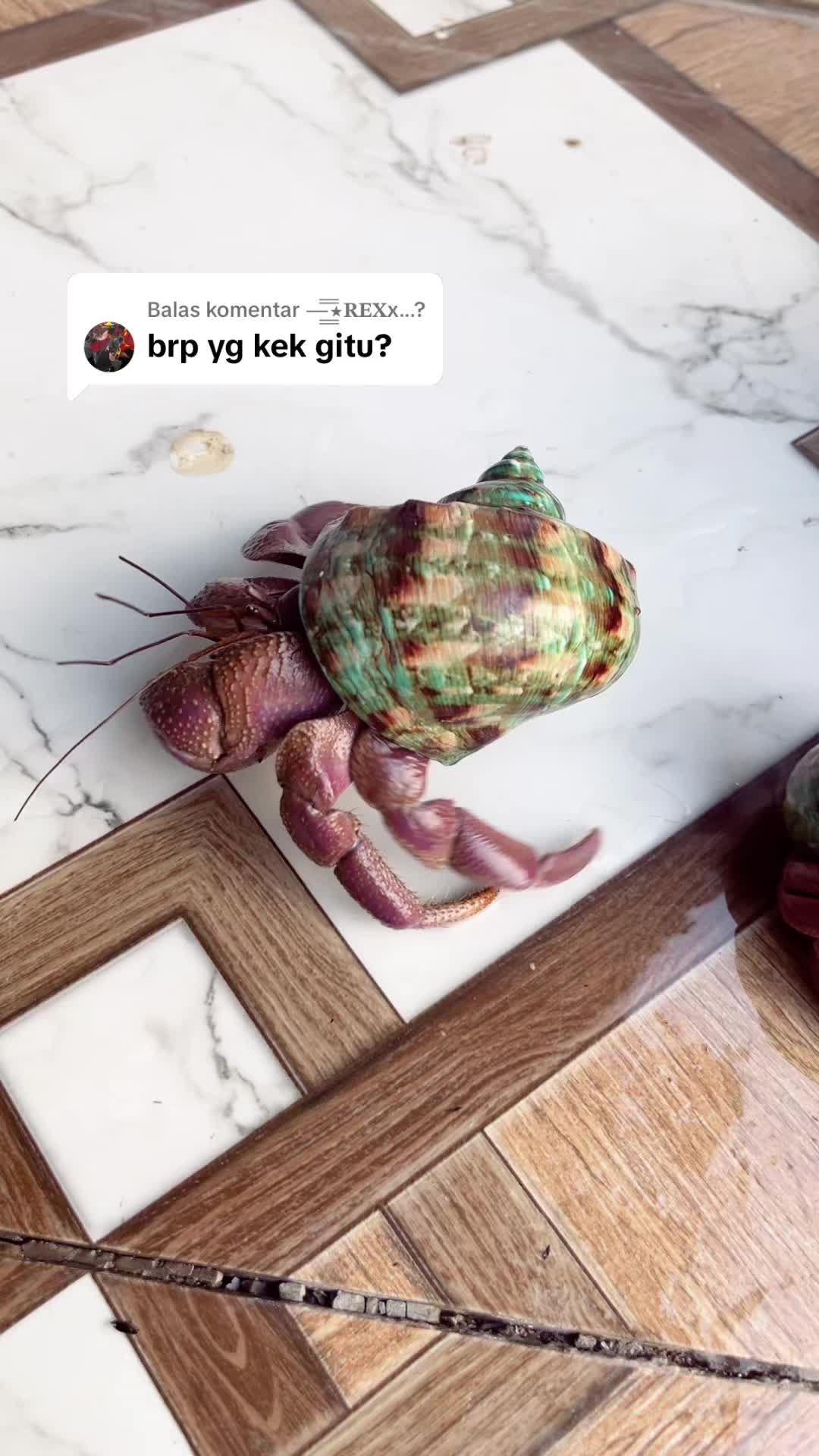 @Kudojiraiya