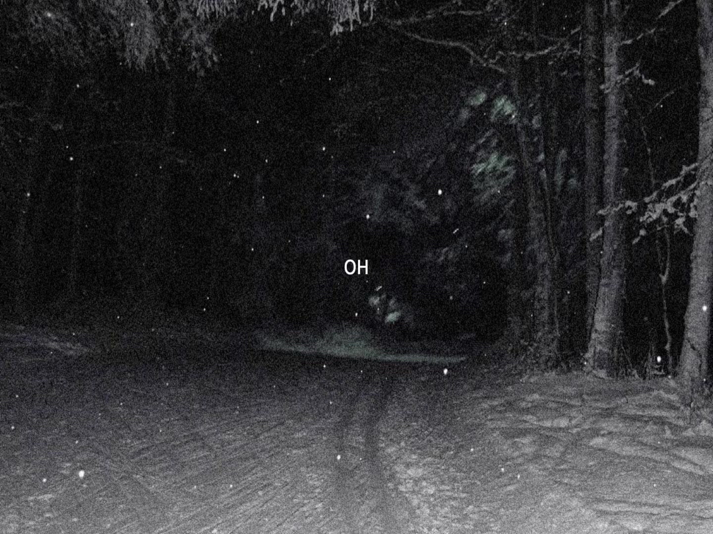 @оляска