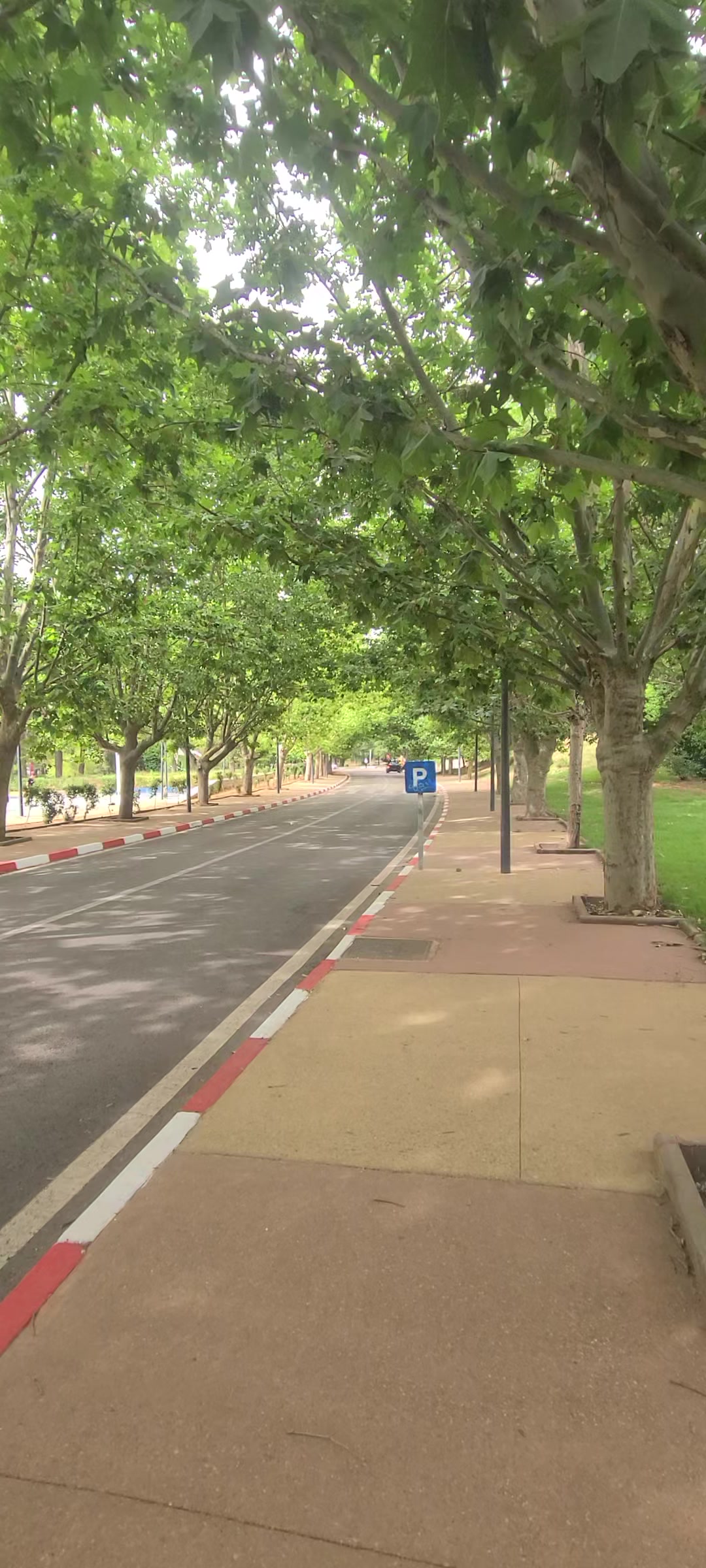 @ifrane city