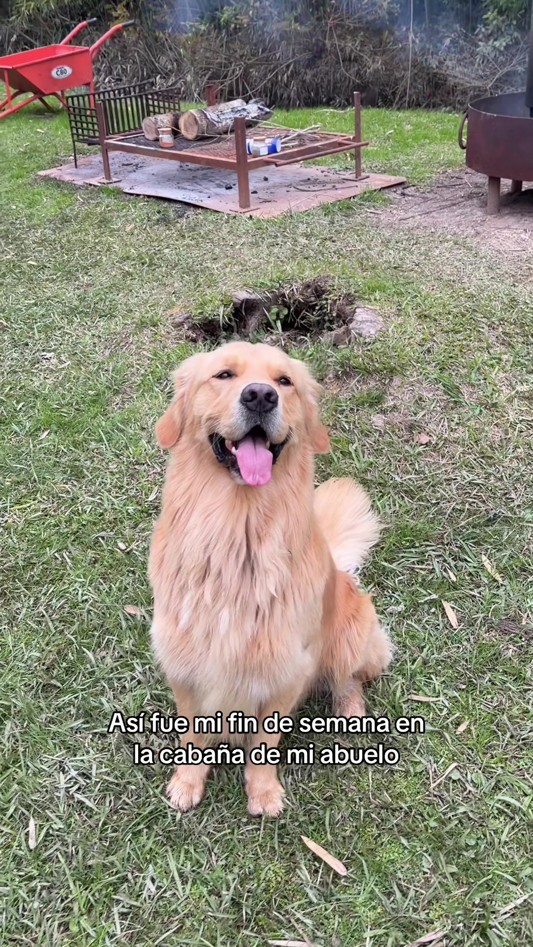 @Narco🐕🐾🐾