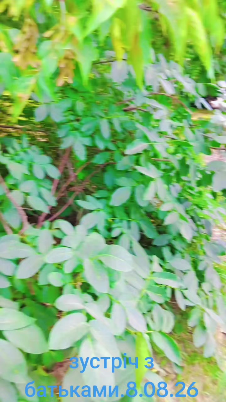 @АЛЬОНУШКА