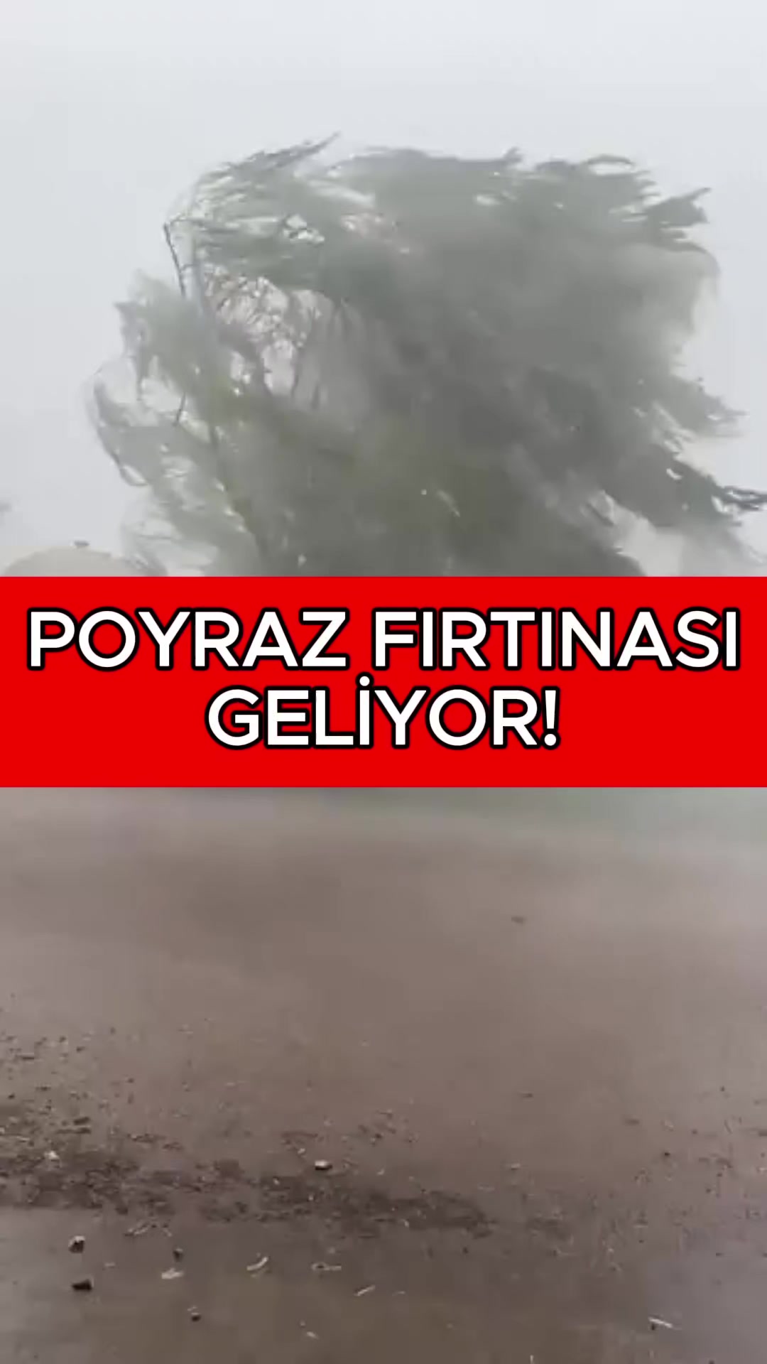 @Havadar