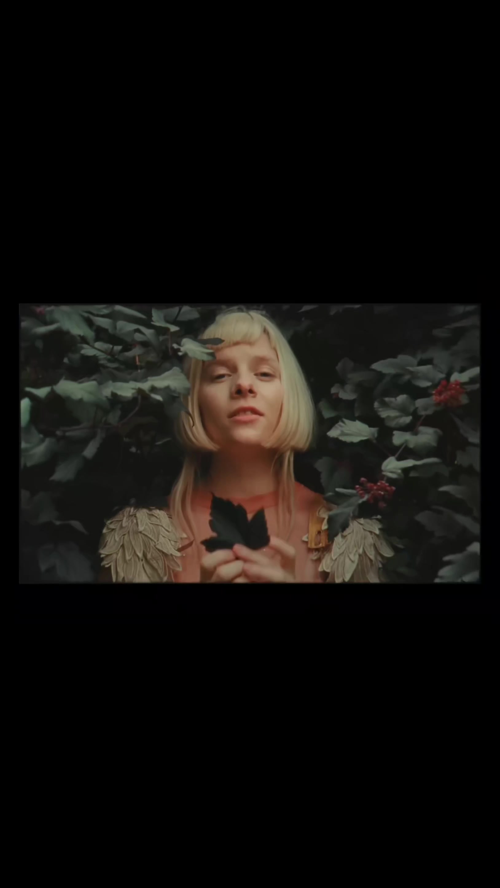 @AuroraFan